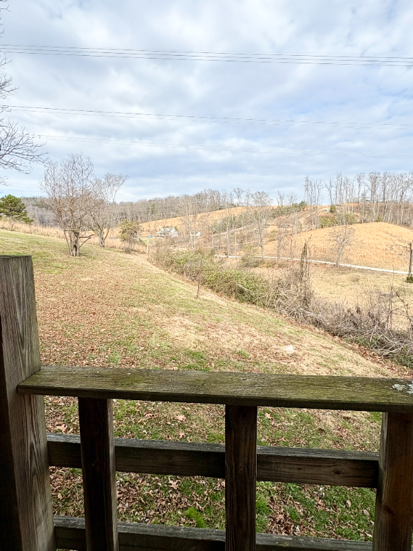412 Meadowview Ln - Photo 4 of 22