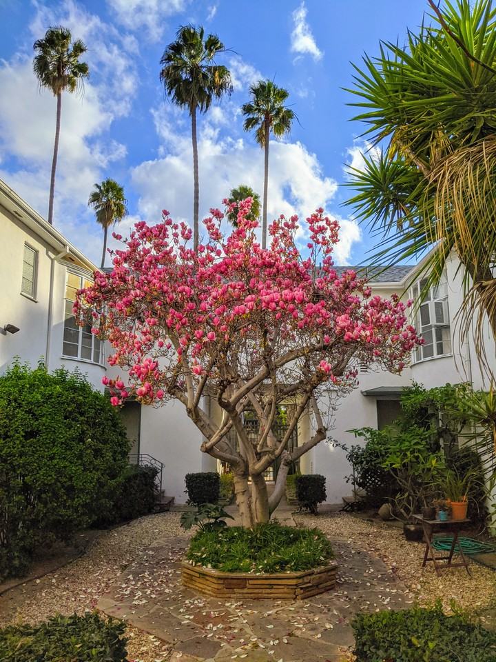 7677 Hollywood Blvd #NA - Photo 6 of 15