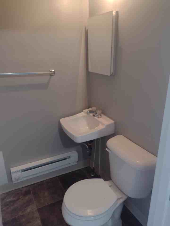 417 1/2 William St #417-1-2 - Photo 3 of 12