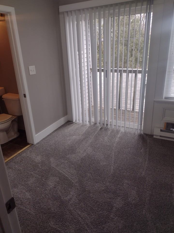 417 1/2 William St #417-1-2 - Photo 4 of 12