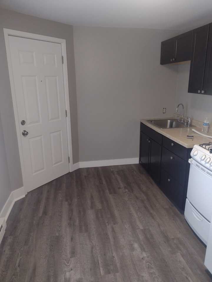 417 1/2 William St #417-1-2 - Photo 7 of 12