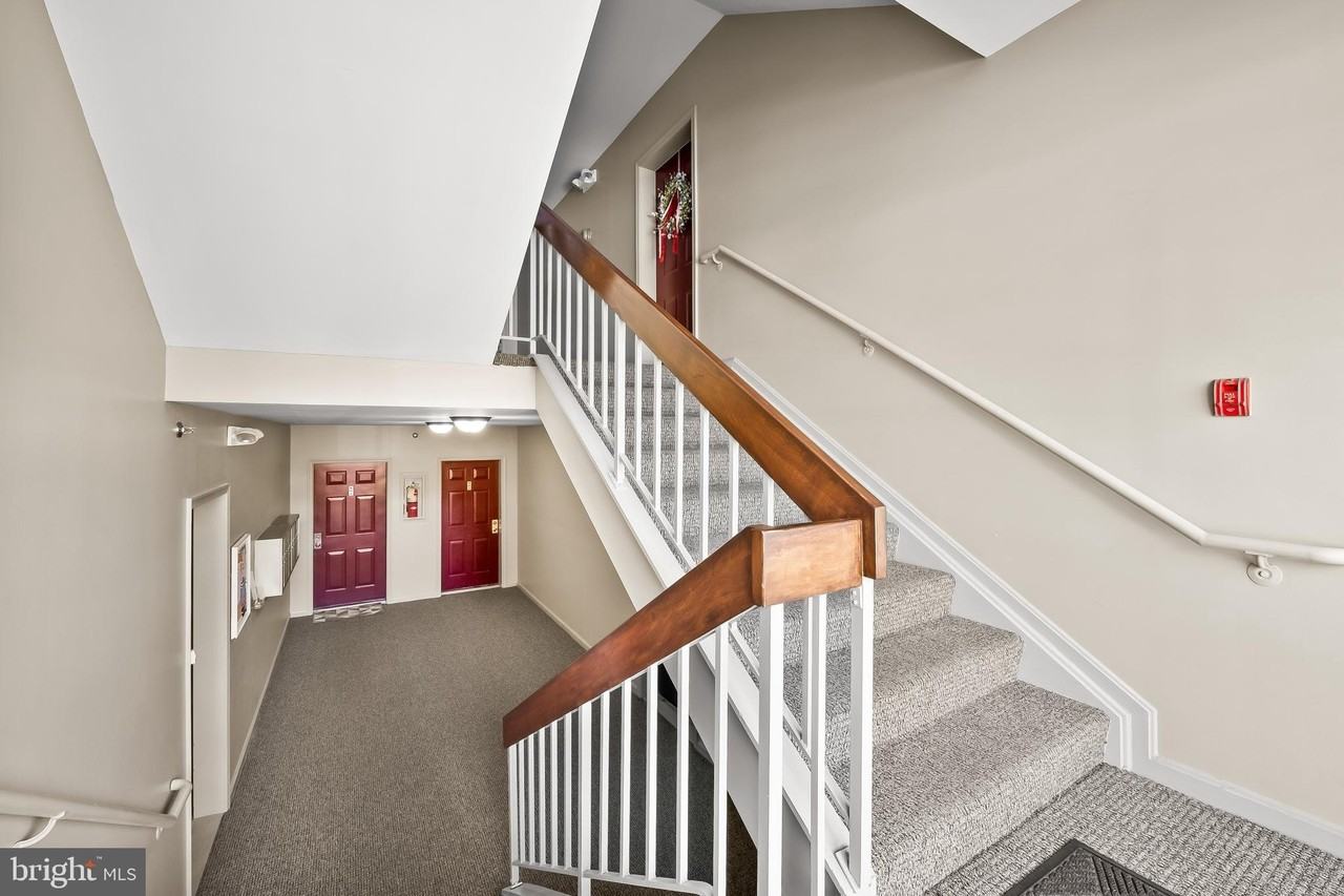 9 Tintern Ct #203 - Photo 5 of 38
