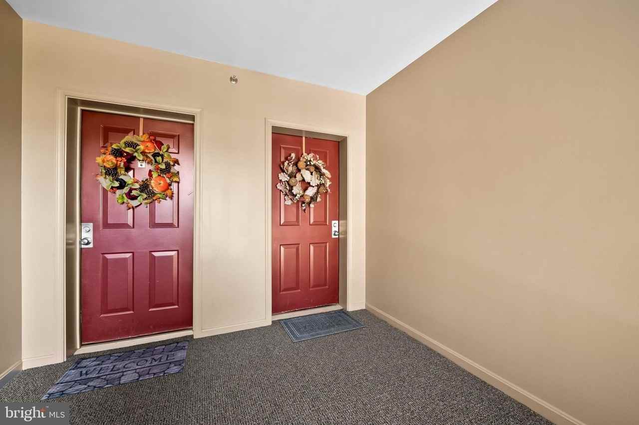 9 Tintern Ct #203 - Photo 6 of 38