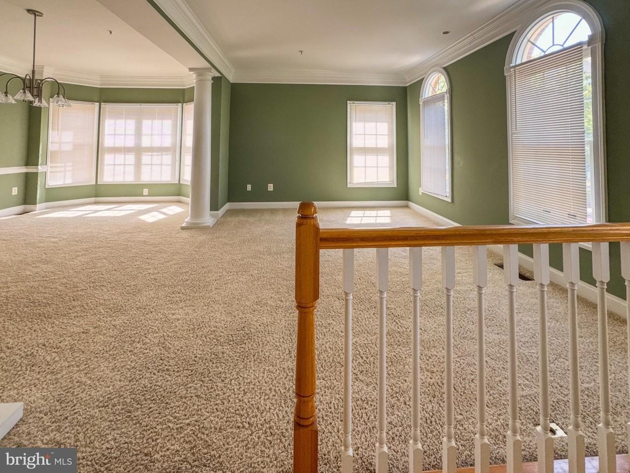218 Cork Tree Ln - Photo 5 of 50
