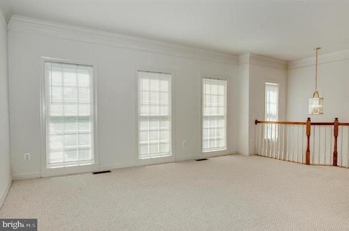 8038 Samuel Wallis St - Photo 7 of 10