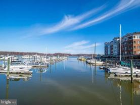 500 Belmont Bay Dr #205 - Photo 1 of 1