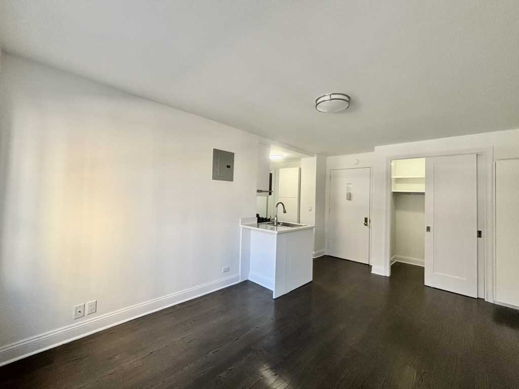 145 East 16th Street #3X - Photo 3 of 4
