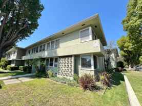 Beautiful Park Estates Apartment for Rent - Photo 1 of 1