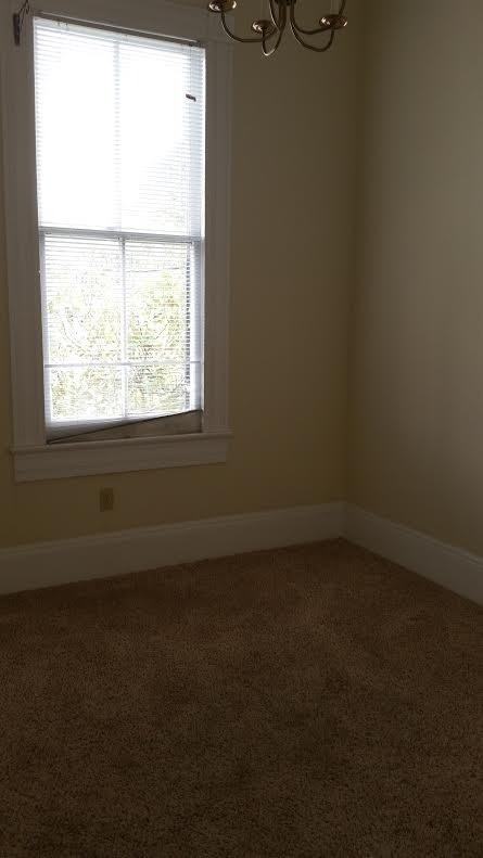 2424 Magazine St - Photo 6 of 8