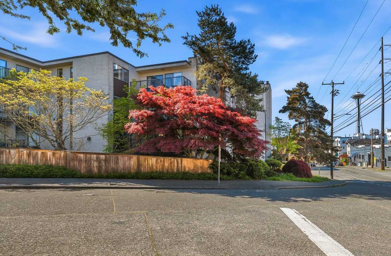 550 Aloha St #101 - Photo 2 of 26