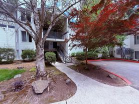 5142 Sw Multnomah Blvd - Photo 1 of 1