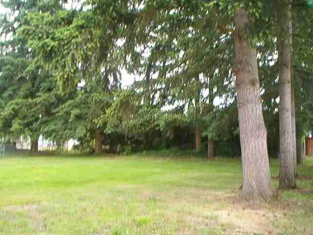 17505 38th Dr Ne - Photo 4 of 18