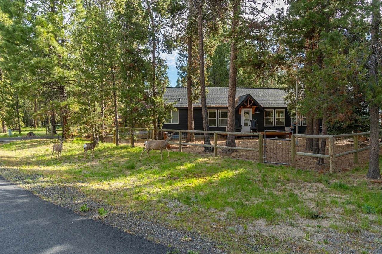 56022 Sandpiper Rd - Photo 3 of 20