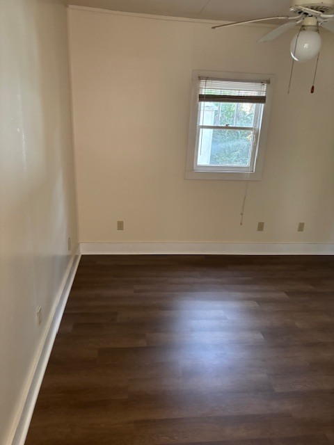 904 Lilly St #HALF - Photo 5 of 7