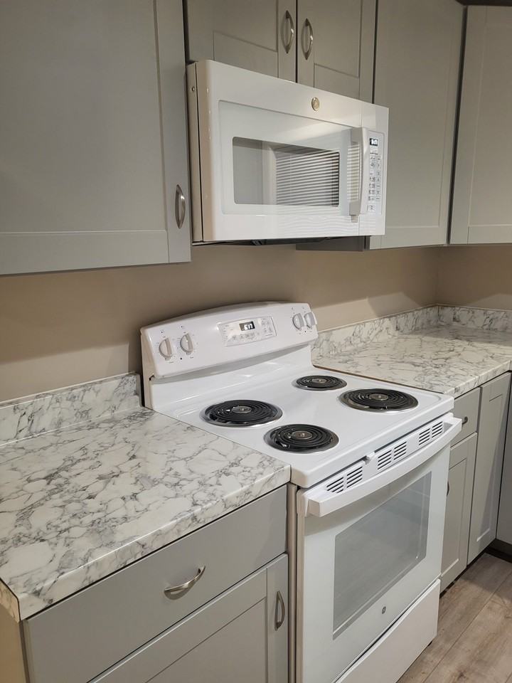 101 Walsh Ln #101 - Photo 4 of 14