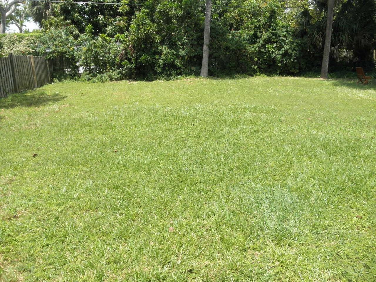 431 Virginia Dr - Photo 5 of 25