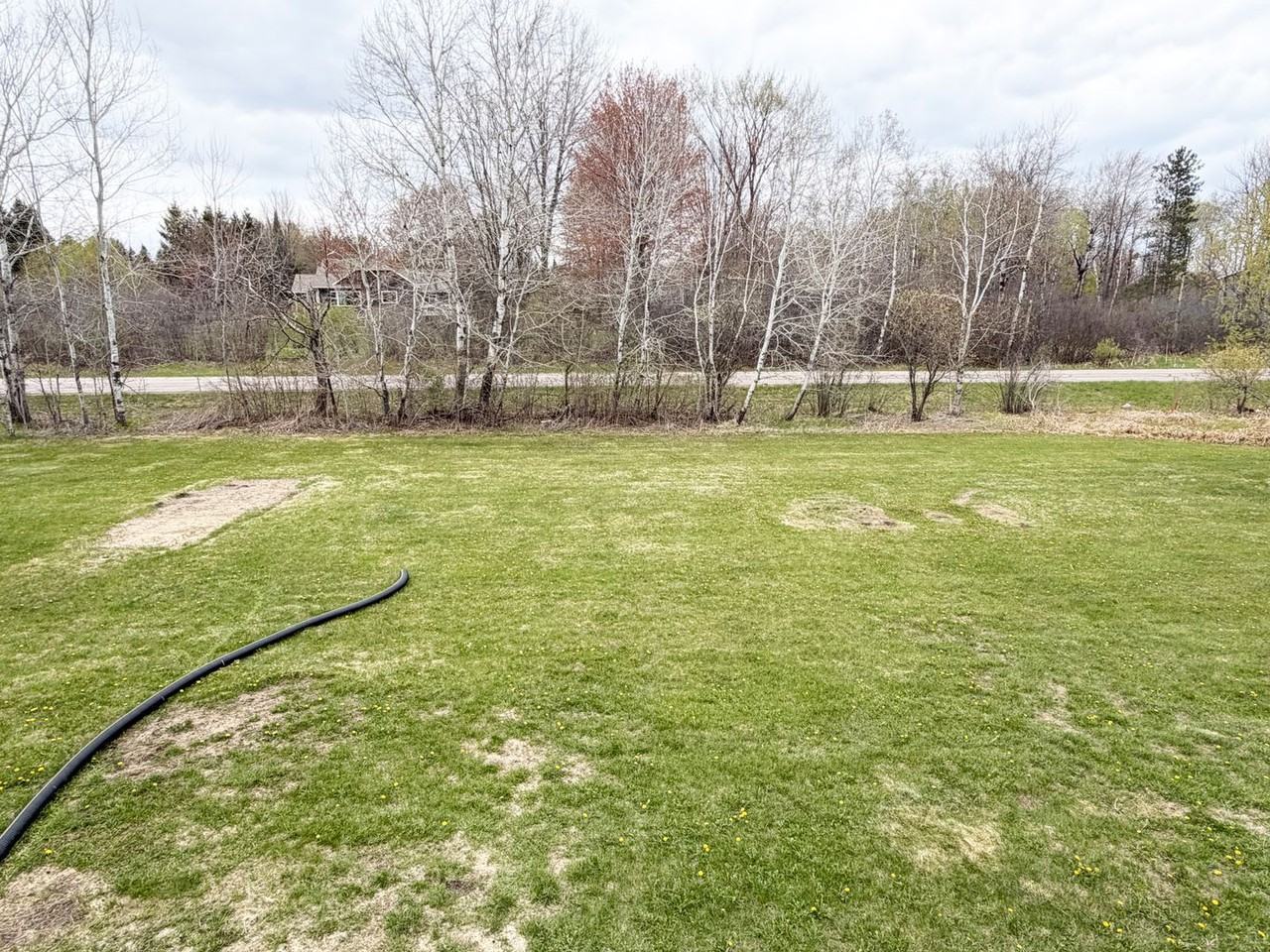 2704 Parkway Ln - Photo 6 of 24