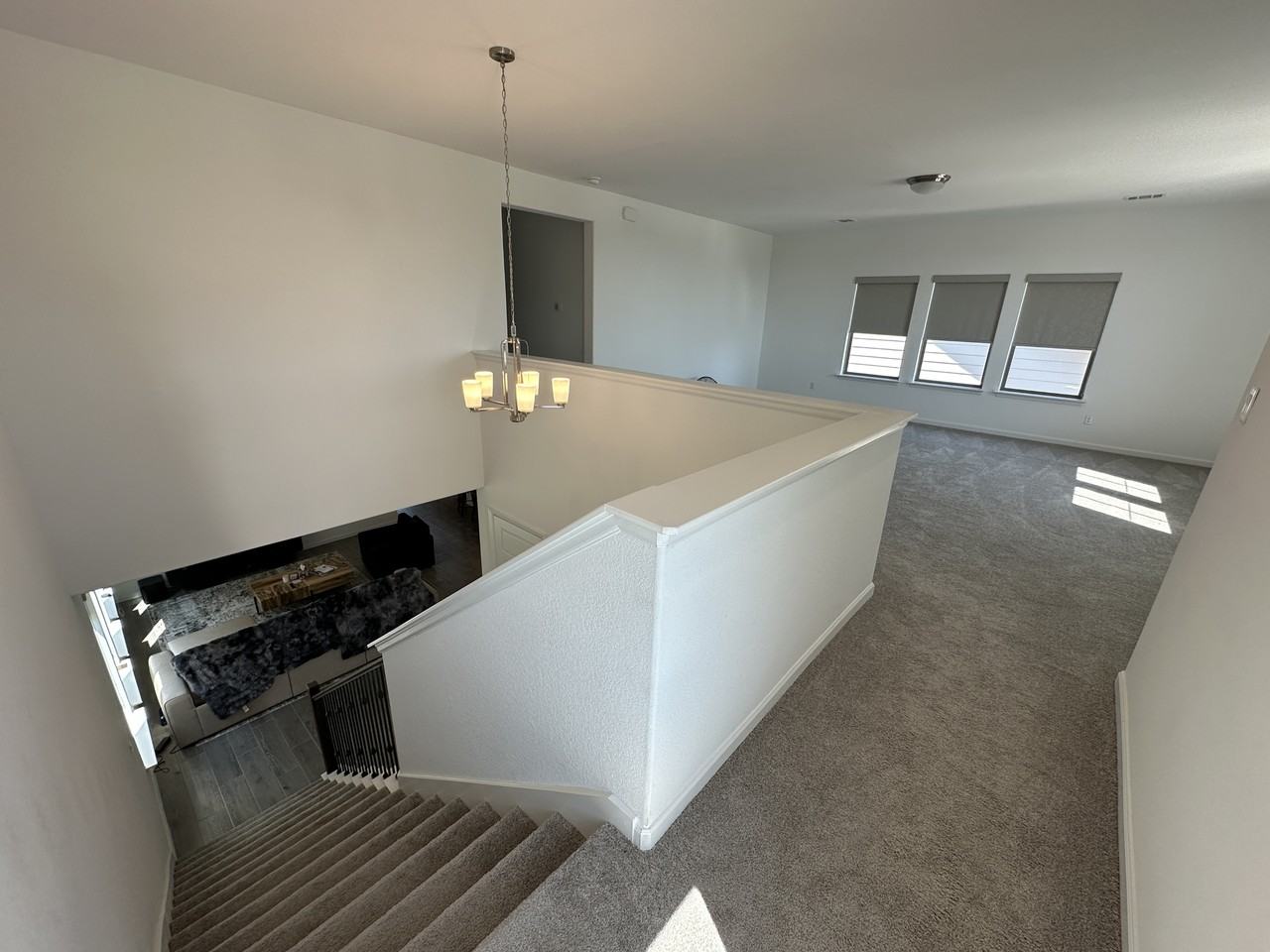 505 Calmo Ct - Photo 4 of 13