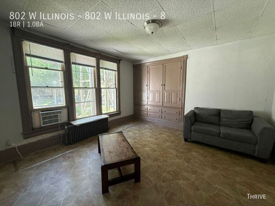 ILLINOIS & #8 - Photo 3 of 9