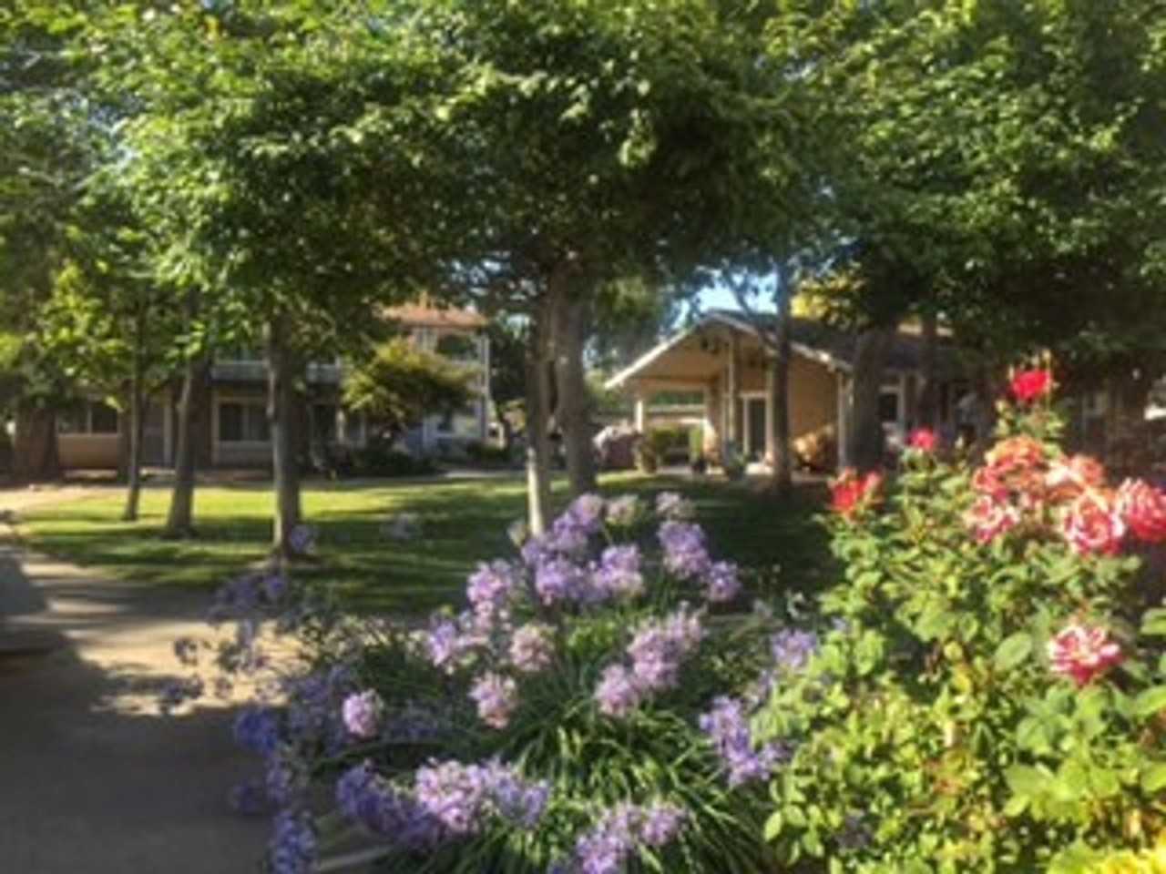1 Bedroom 1 Bathroom in Morgan Hill - Photo 6 of 16