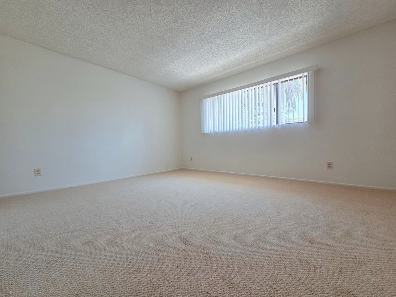 426 W Dryden St #102 - Photo 7 of 13