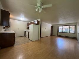 featured image of 217 W Magnolia St