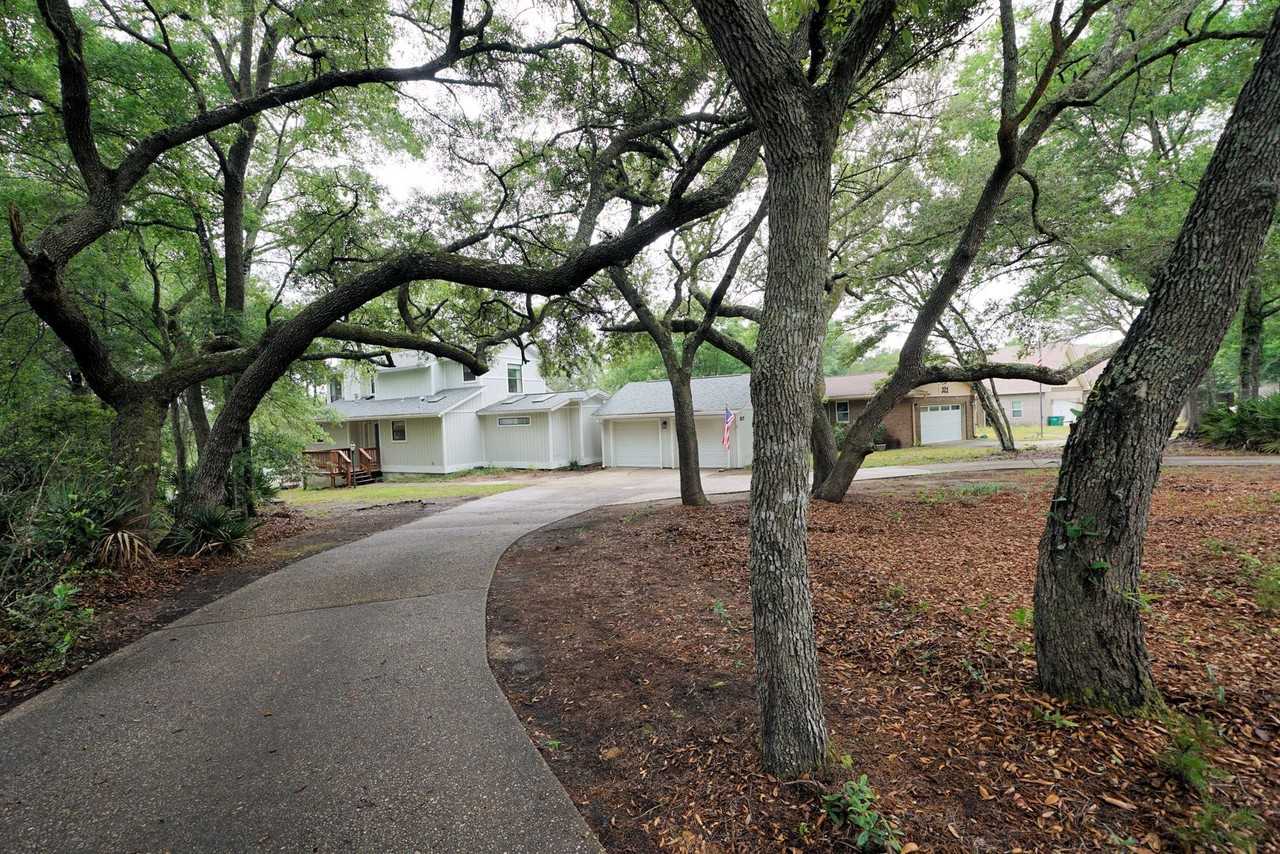317 Jamaica Way - Photo 4 of 50