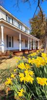 359 Flat Rock Rd - Photo 1 of 1