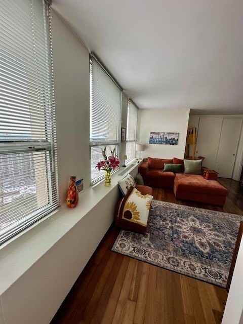 2626 N Lakeview Ave #2210 - Photo 7 of 12
