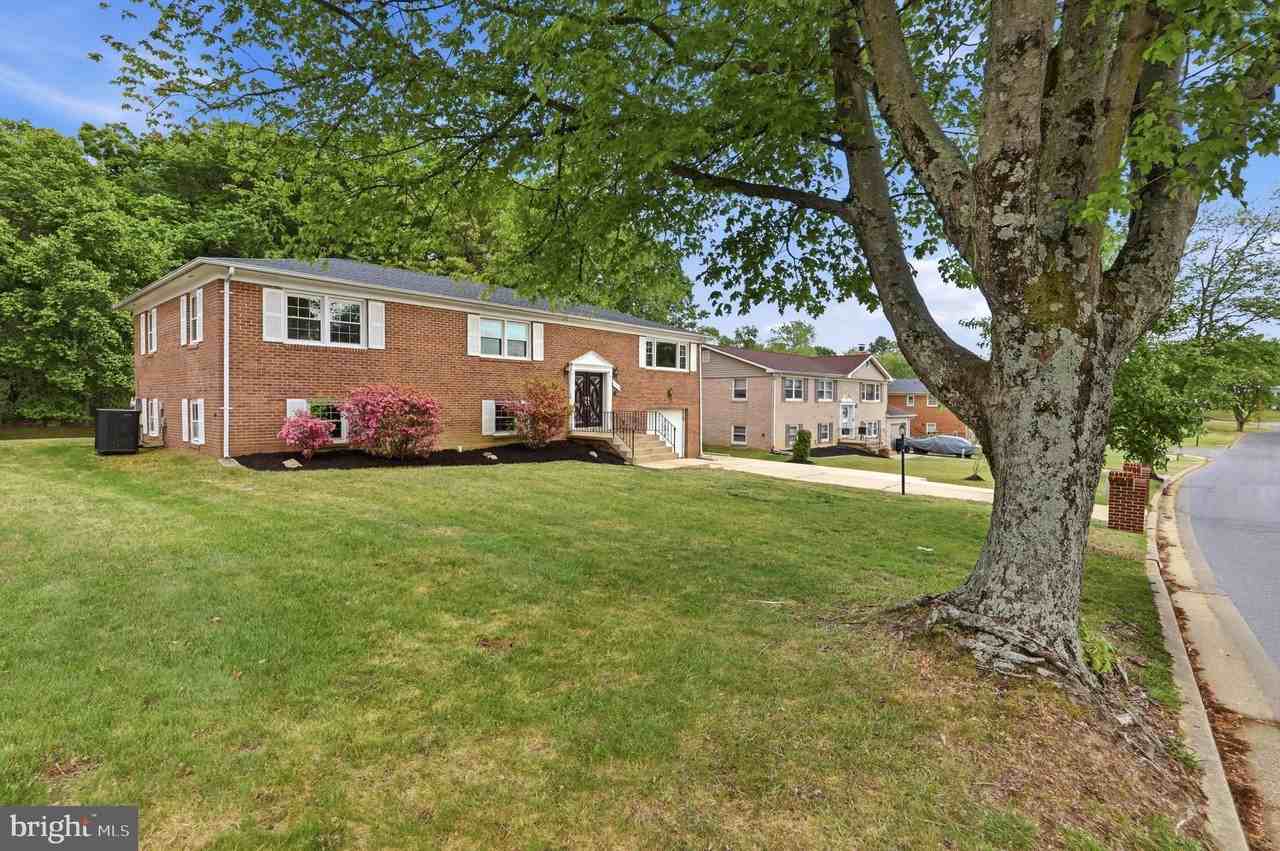 11410 Mary Catherine Dr - Photo 4 of 50