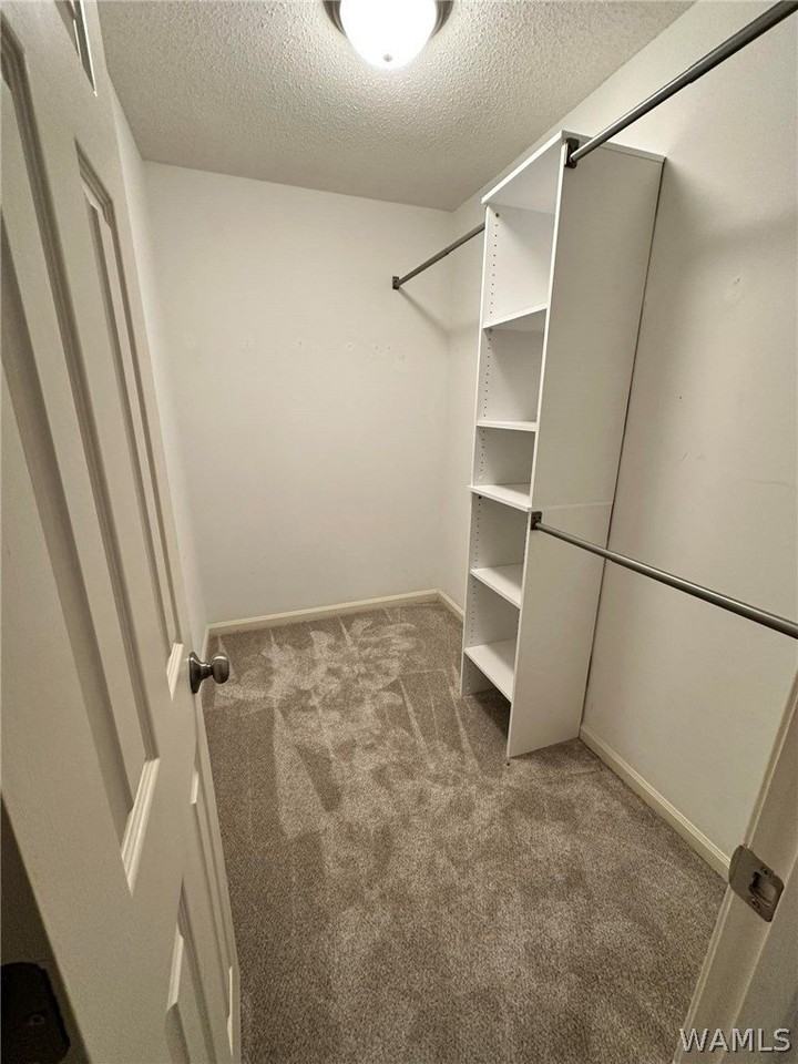 1062 Fairfax Dr - Photo 2 of 14