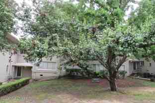 1043 Carlisle St - Photo 1 of 1