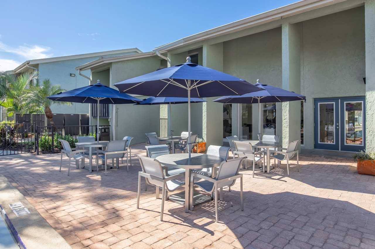 Palmera at Gandy - Photo 5 of 50