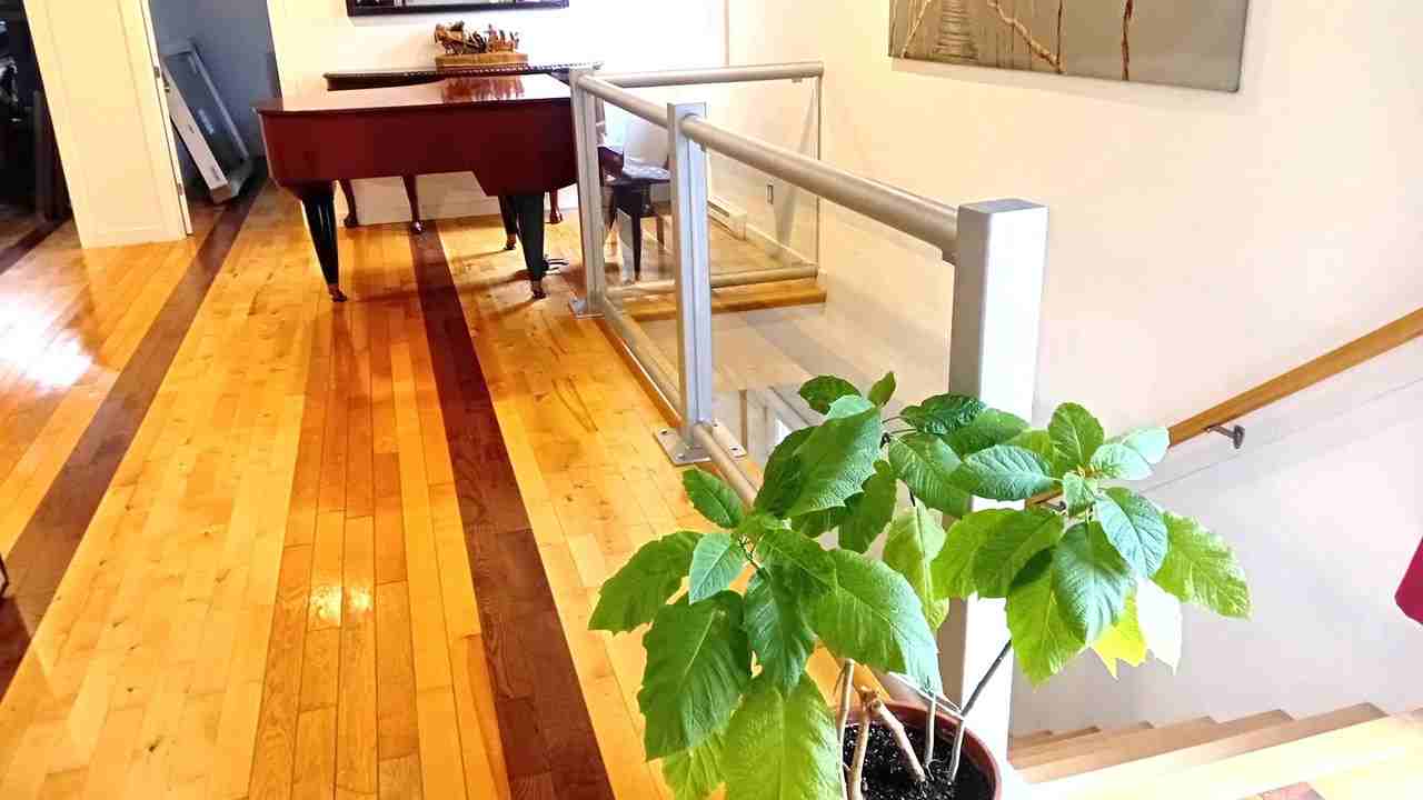 7162 5e Avenue - Photo 2 of 7