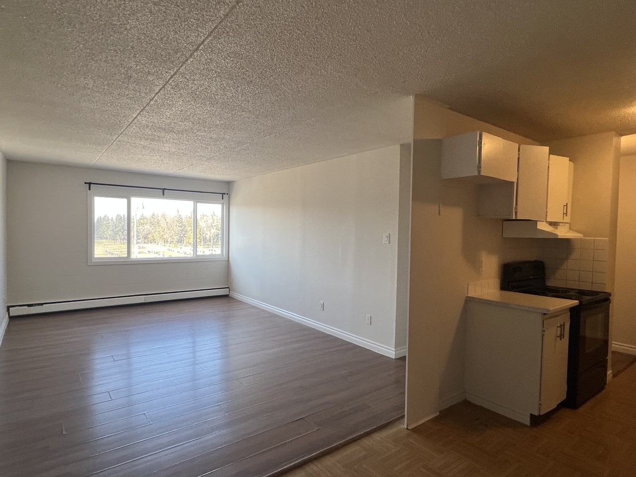 16421 Stony Plain Road Edmonton AB, T5P 4E8 - 312 - Photo 2 of 10