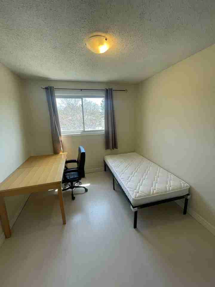 126 Conroy Crescent - Photo 5 of 12