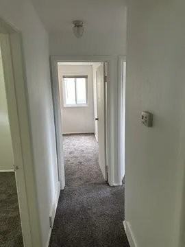 1118 Forest Rd #A - Photo 5 of 11