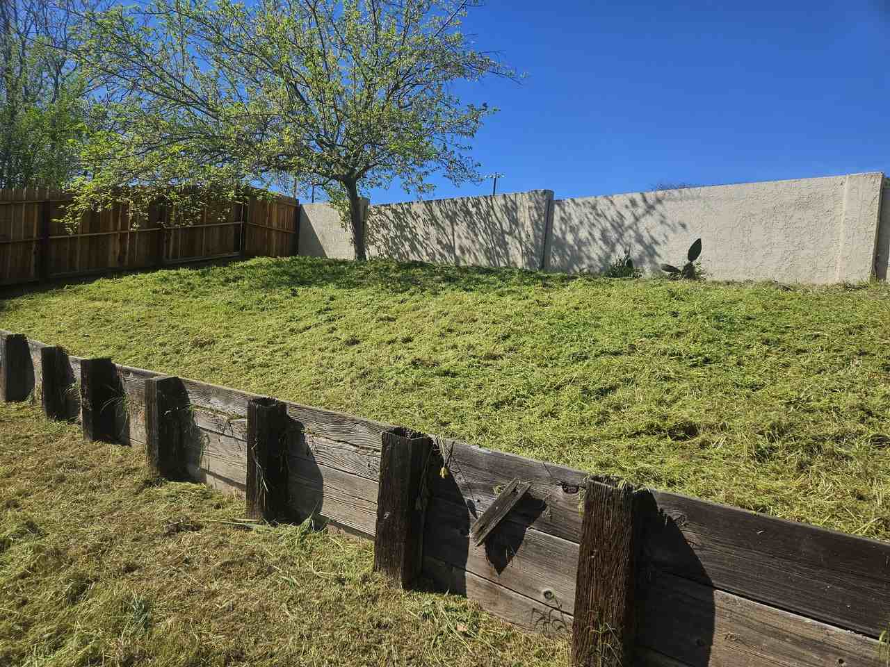 2916 Elizabeth Ln #NA - Photo 7 of 9