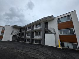 featured image of 1605 S Water St #18