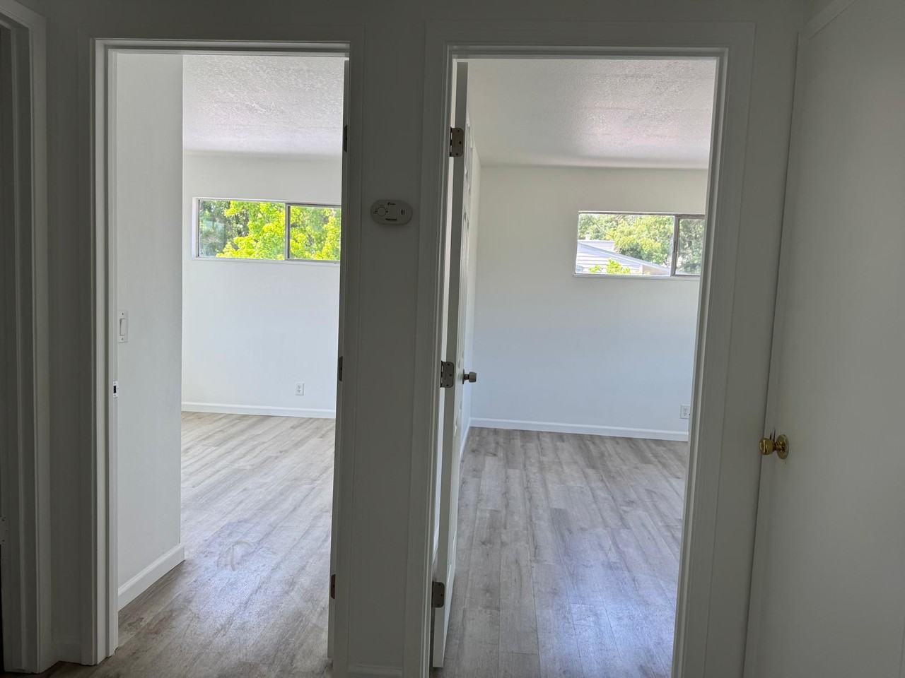 927 Delport Ave #4 - Photo 4 of 7