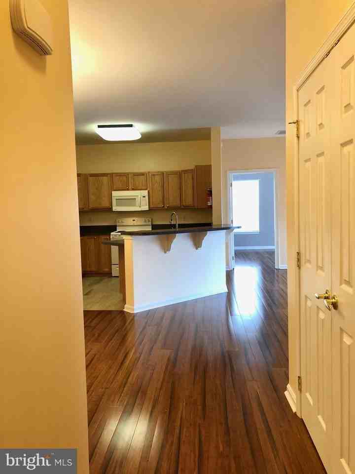 4302F Fullerton Ct - Photo 4 of 28