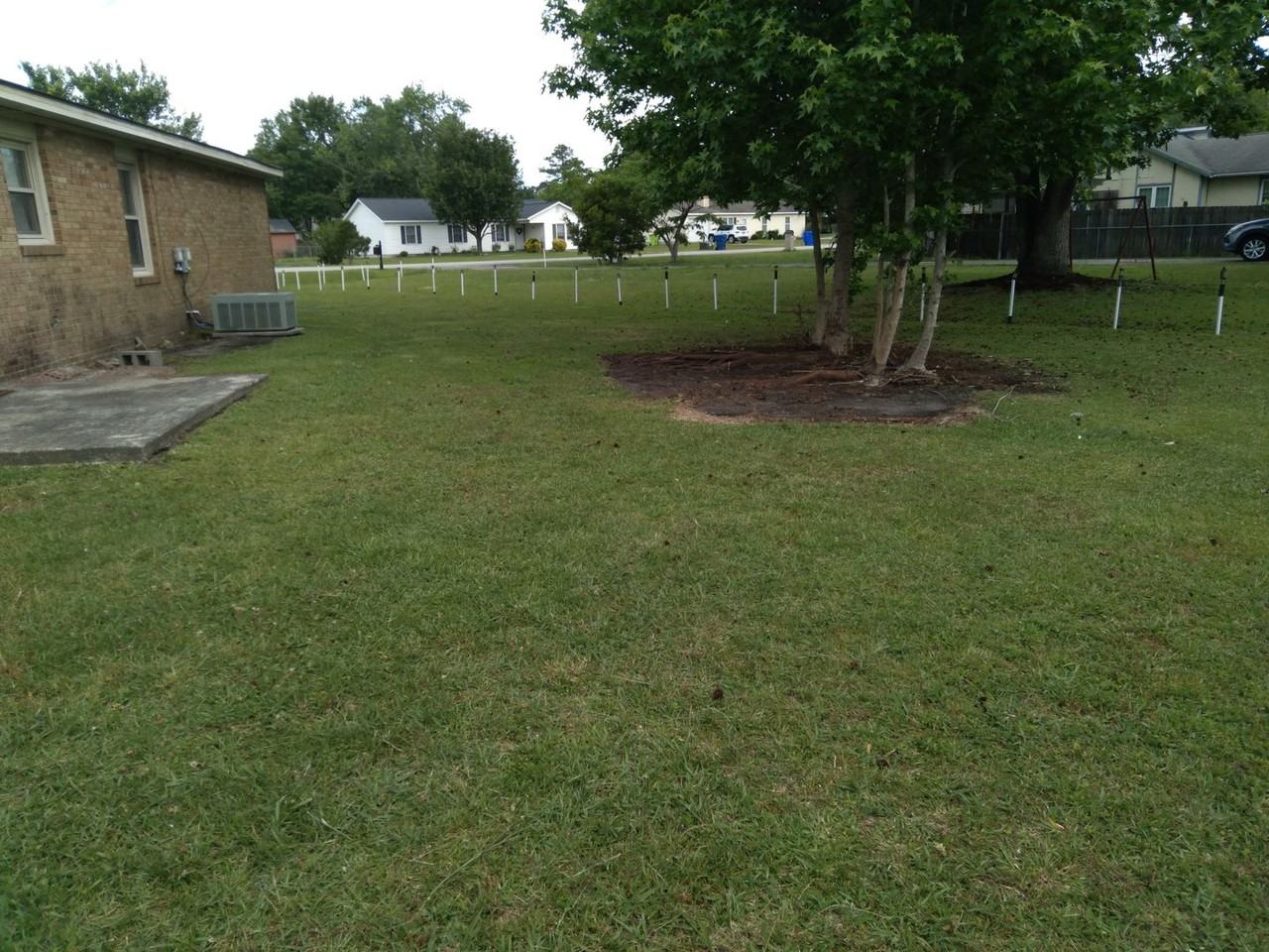411 Forest Hill Dr - Photo 3 of 24