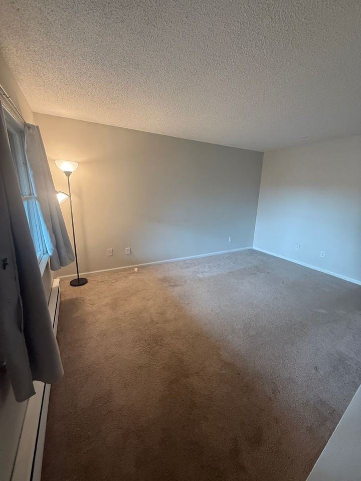 218 Adams Ln - Photo 4 of 29