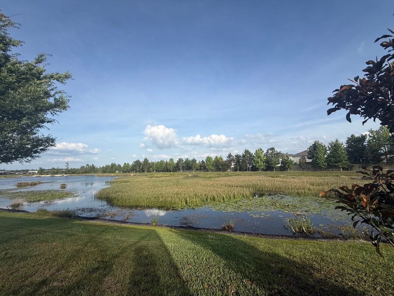 19186 Blue Pond Dr - Photo 4 of 6