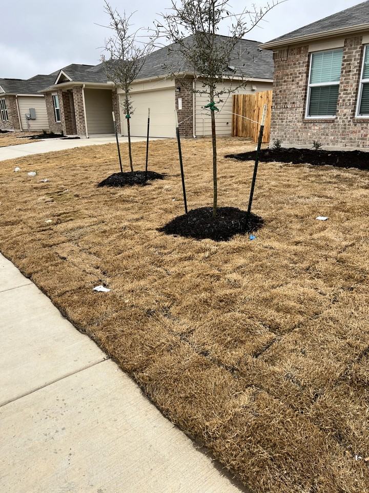 223 Chickasaw Ln #1 - Photo 3 of 23