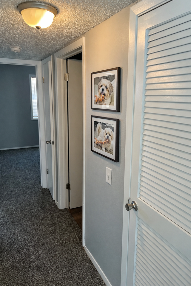 Pine Creek Apartments - Photo 7 of 27