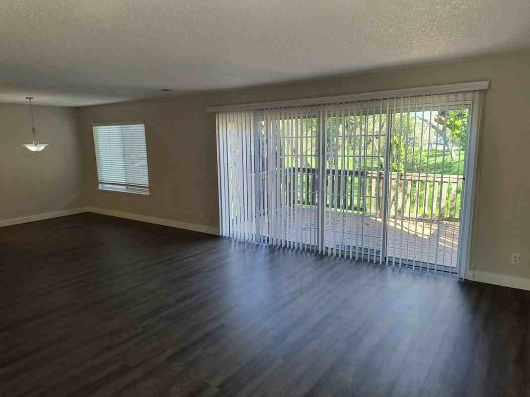 6805 Castillo Ct - Photo 4 of 38