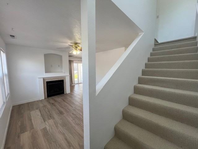 1356 N Stephanie Ln #101 - Photo 6 of 19