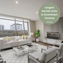 The Wedge Apartments - Photo 1 of 1