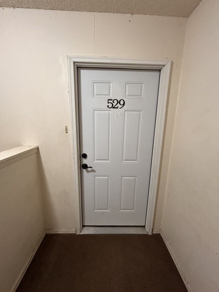 525 - 531 Superior St - 529 #529 - Photo 3 of 29